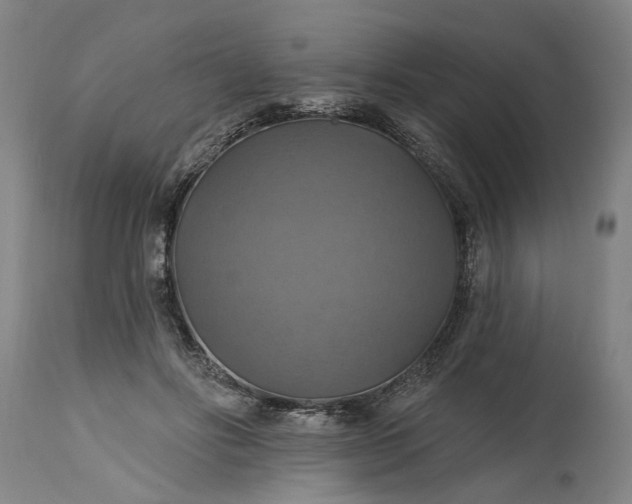 X0000115450502200911181550