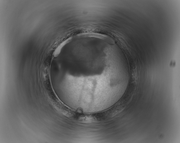 X0000115450503200911181550