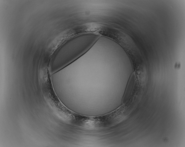 X0000115450504200911181550