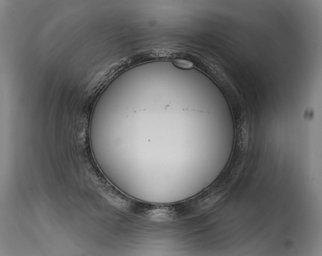 X0000115450505200911181550