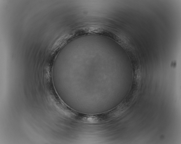 X0000115450506200911181550