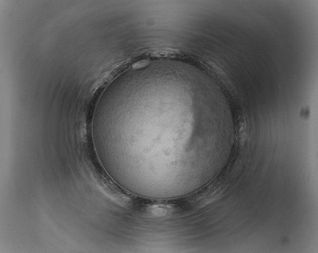 X0000115450508200911181550