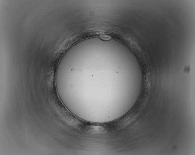 X0000115450509200911181550