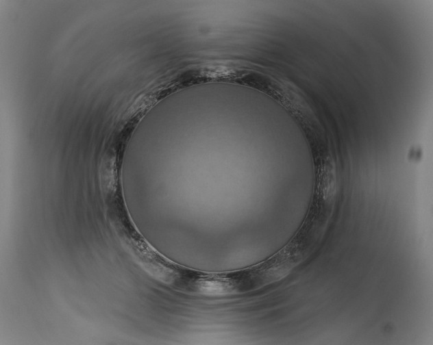 X0000115450510200911181550