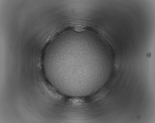 X0000115450512200911181550