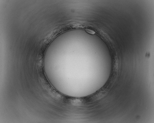 X0000115450513200911181550