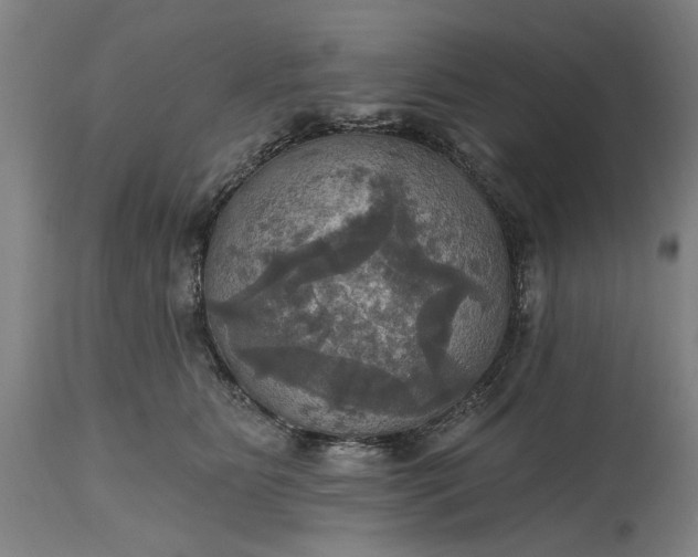 X0000115450515200911181550