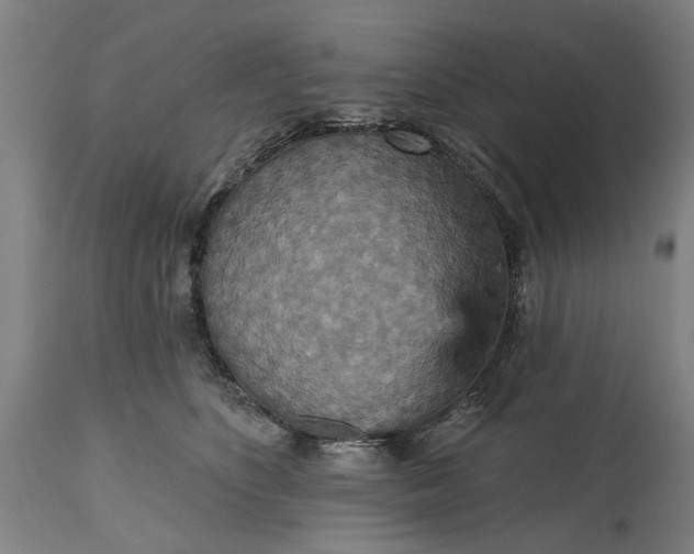 X0000115450516200911181550