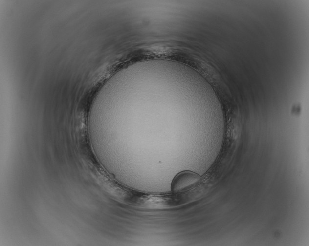 X0000115450518200911181550