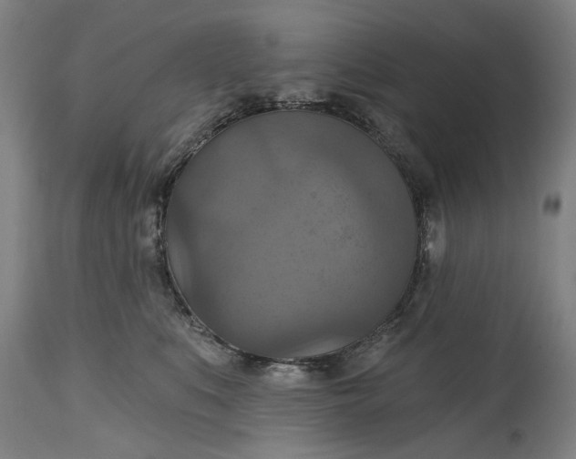 X0000115450519200911181550