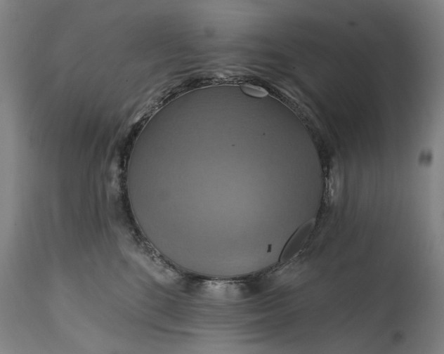 X0000115450520200911181550