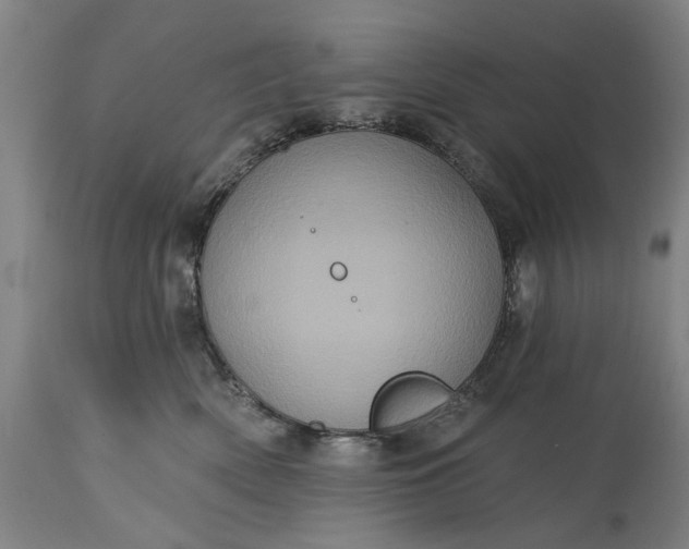 X0000115450522200911181550