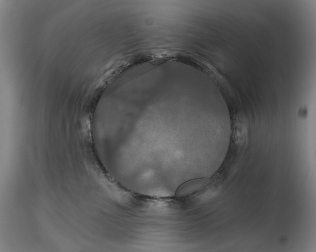 X0000115450523200911181550