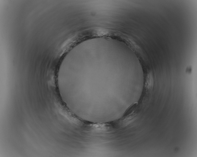 X0000115450524200911181550