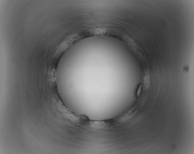 X0000115450525200911181550