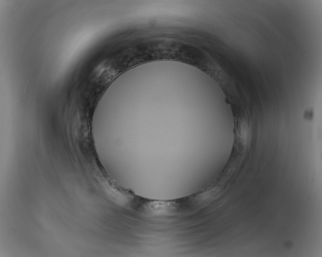 X0000115450526200911181550