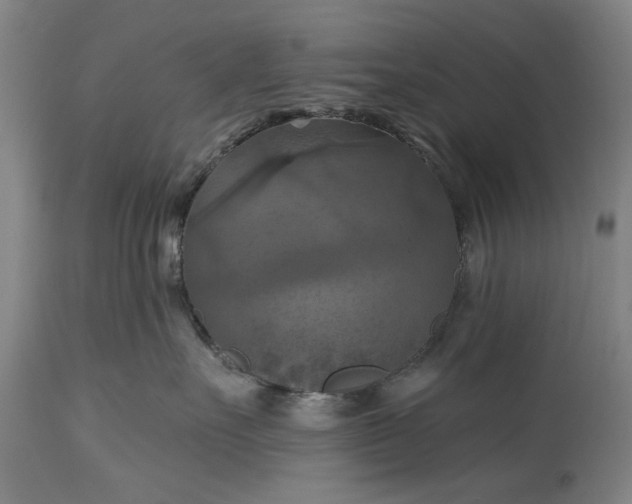 X0000115450527200911181550