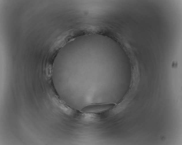 X0000115450528200911181550