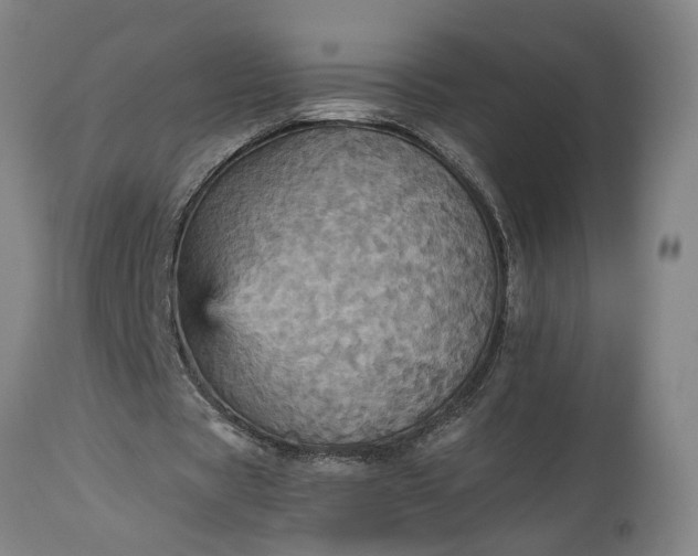 X0000115450529200911181549