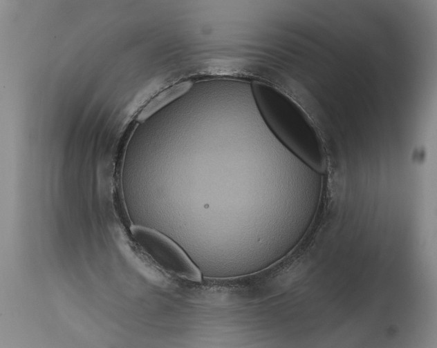 X0000115450530200911181549