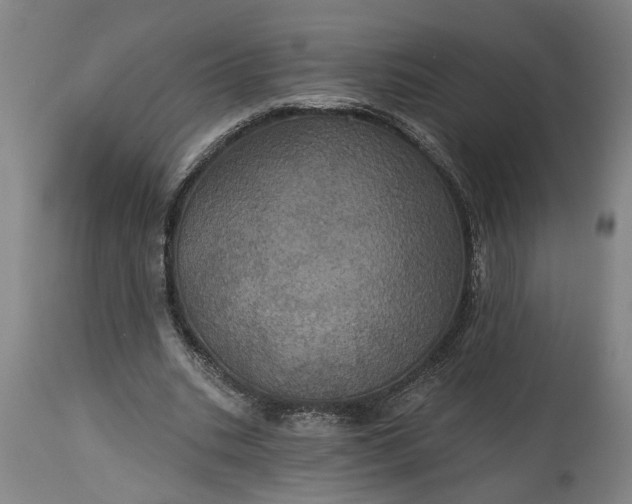 X0000115450535200911181549