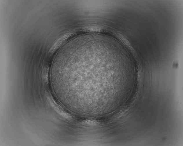 X0000115450537200911181549