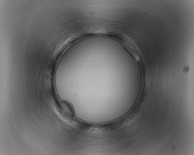 X0000115450538200911181549