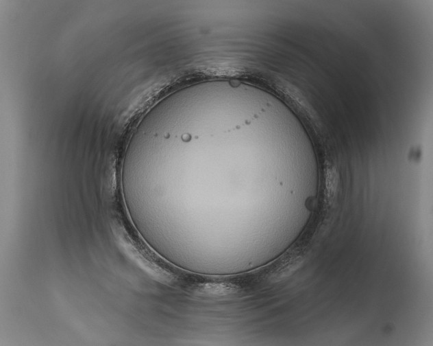 X0000115450541200911181549