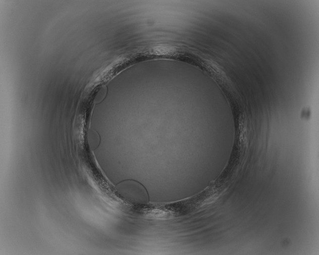 X0000115450542200911181549