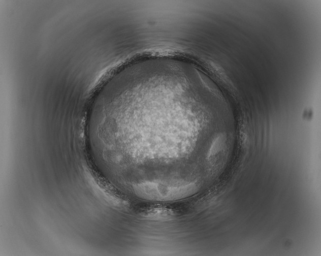 X0000115450543200911181549