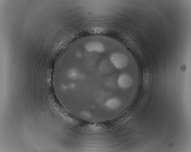 X0000115450545200911181549