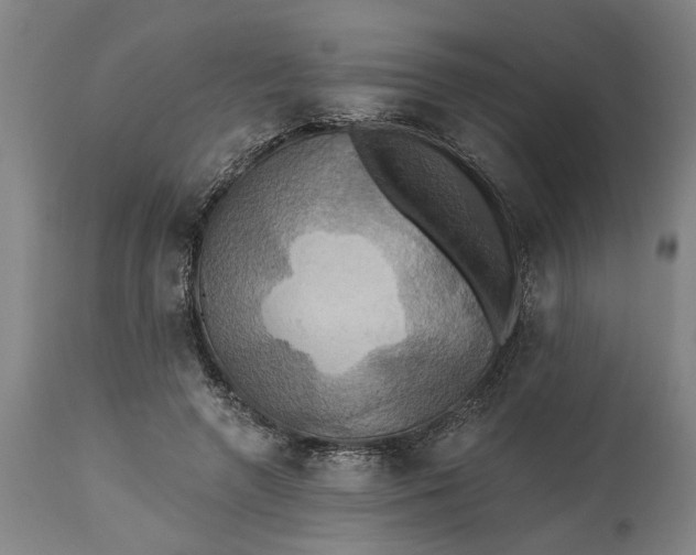 X0000115450546200911181549