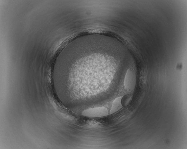 X0000115450547200911181549