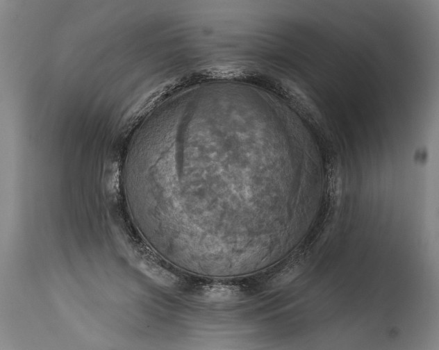 X0000115450549200911181549