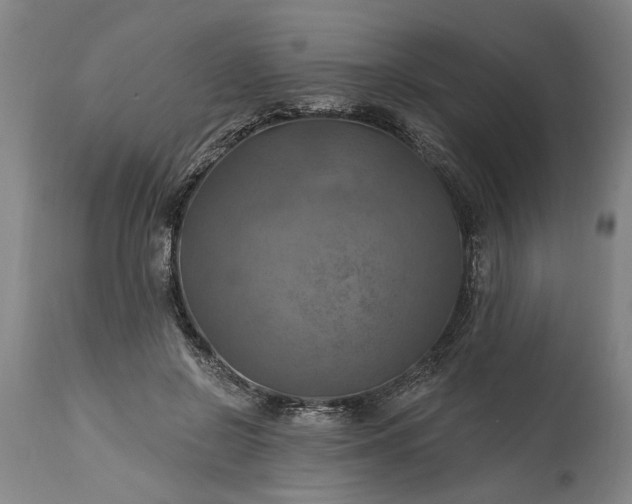 X0000115450550200911181549