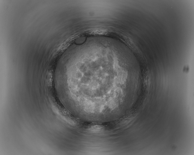 X0000115450551200911181549