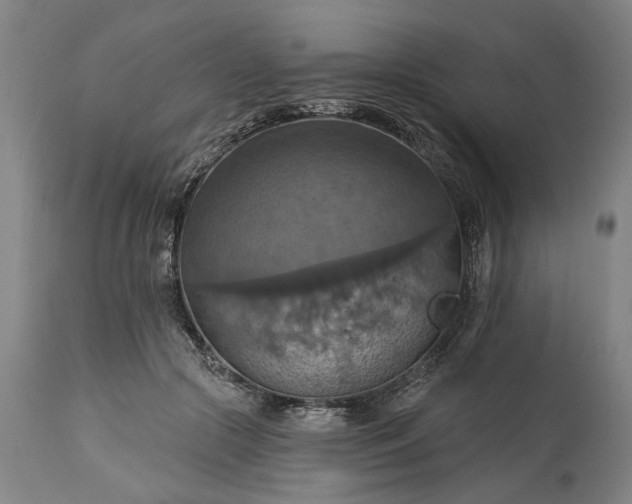 X0000115450553200911181549