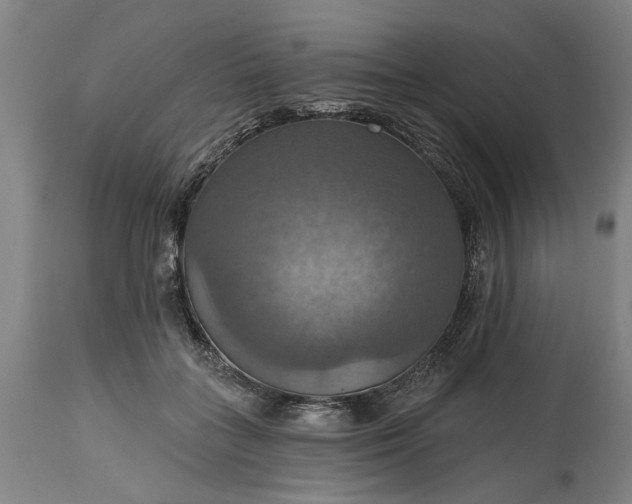 X0000115450555200911181549