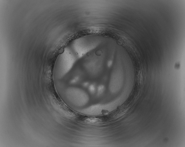 X0000115450557200911181549