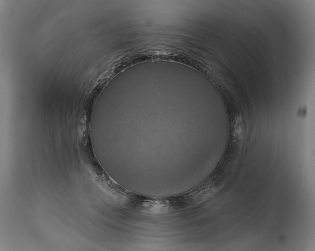 X0000115450559200911181549