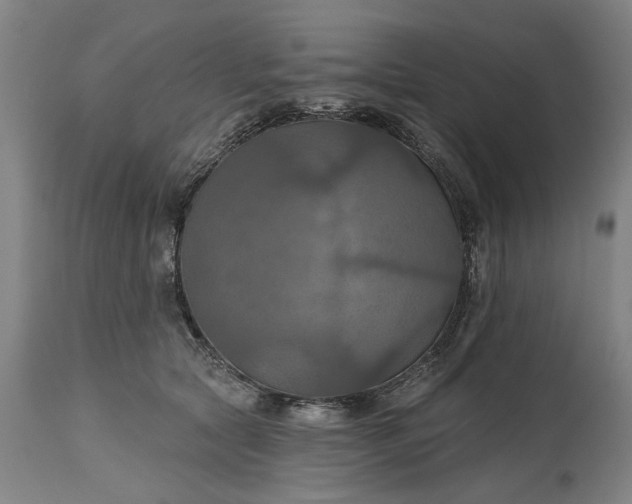 X0000115450561200911181549