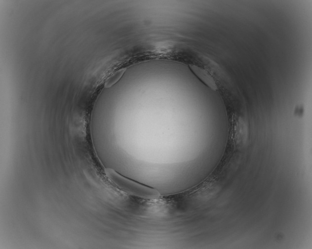 X0000115450562200911181549