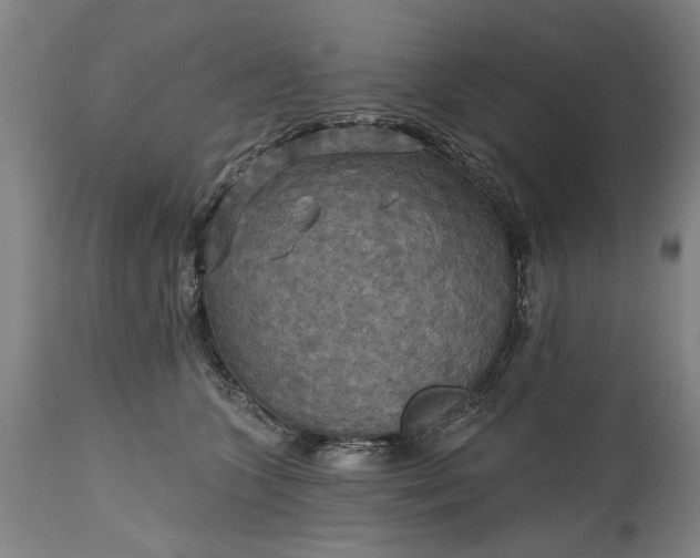 X0000115450563200911181549