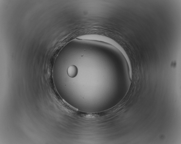 X0000115450566200911181550