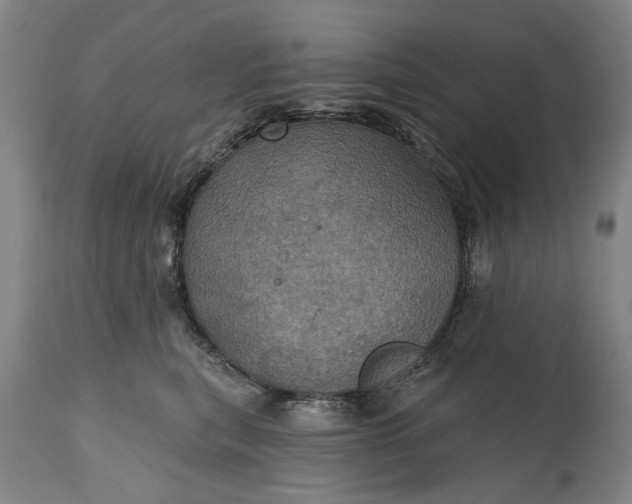 X0000115450567200911181550