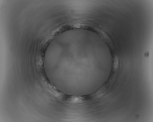 X0000115450569200911181550