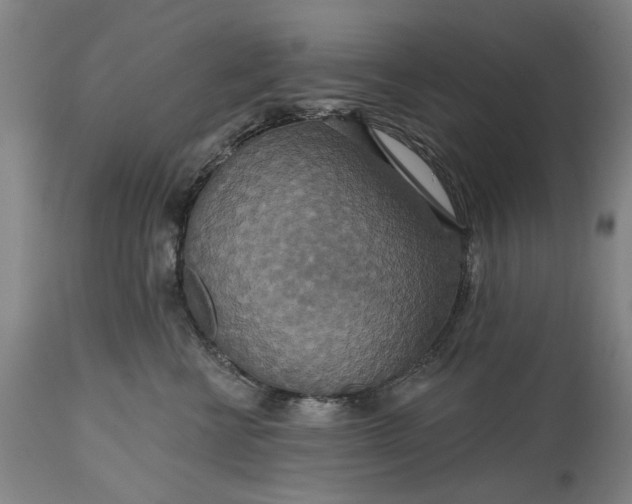 X0000115450570200911181550