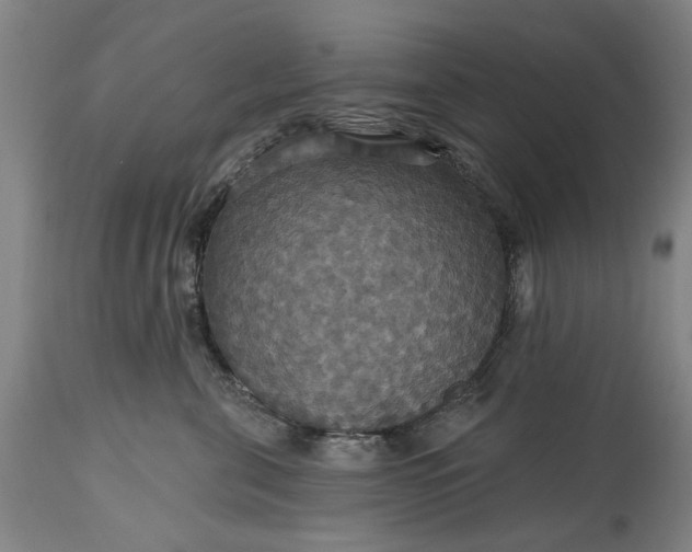 X0000115450571200911181550