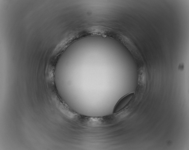 X0000115450573200911181550