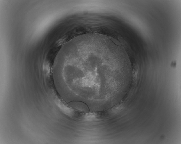 X0000115450574200911181550